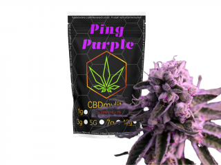 CBD konopí PING PURPLE Hmotnost: 100g