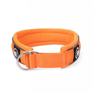 Obojek pro psy BullyBillows RR 4cm | Series 2 (Velikost S) Oranžová