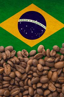 Arabica Brasil Cerrado Caramelo Doce Balení: 100 g