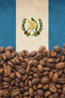 Arabica Guatemala El Jaguar Balení: 1000 g