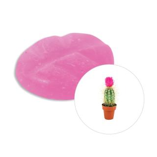 Scentchips Vonný vosk Cactus Flower ScentChips®, Balení L - 26 kusů - 182g