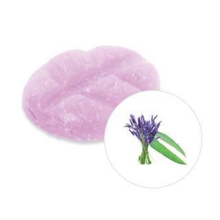 Scentchips Vonný vosk Eucalyptus & Lavender  ScentChips®, Balení L - 26 kusů - 182g