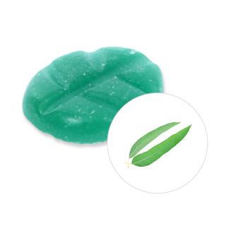 Scentchips Vonný vosk Eucalyptus Scentchips®, Balení L - 26 kusů - 182g