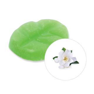 Scentchips Vonný vosk Gardenia ScentChips®, Balení  1 kus - 7g