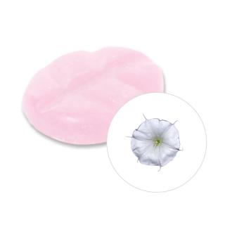 Scentchips Vonný vosk Moon Flower ScentChips®, Balení L - 26 kusů - 182g