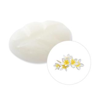 Scentchips Vonný vosk Plumeria ScentChips®, Balení  1 kus - 7g