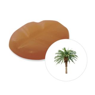 Scentchips Vonný vosk Tropical Wood Scentchips®, Balení M - 13 kusů - 91g