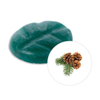 Scentchips Vonný vosk Winter Woods  Scentchips®, Balení L - 26 kusů - 182g