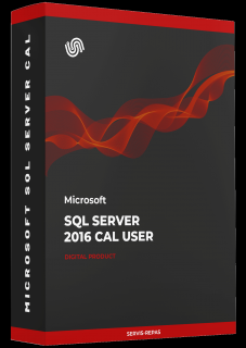 Microsoft SQL Server 2016 CAL 1 User