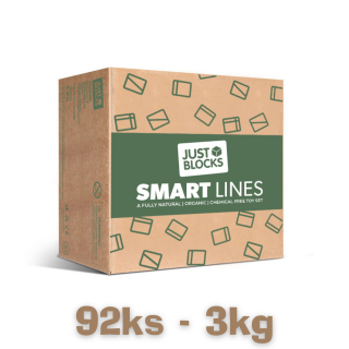 Dřevěná stavebnice Just Blocks - SMART LINES Small 3kg