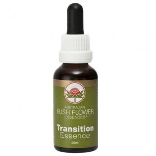 Transition Essence - Esence Změna