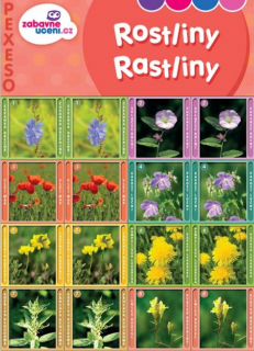Pexeso-18 párů rostliny