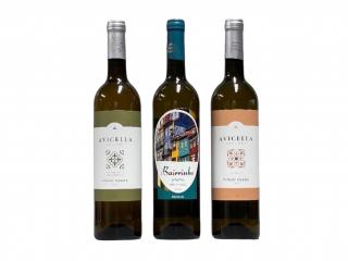 Degustační set Vinho Verde Portugalsko