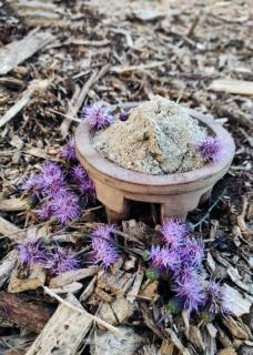 Kava Kava instantní - Fiji Day Loa Waka