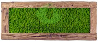 Obraz z masivu 136x56cm (staré dřevo) – Sobí mech světlé zelený – spring green