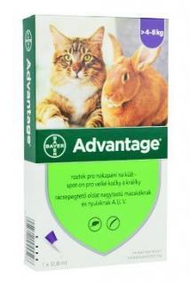 Advantage pro velké kočky a králíky (4 - 8kg) Varianta: 80mg 4x0,8ml