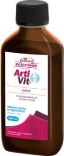 Artivit sirup Varianta: 200ml