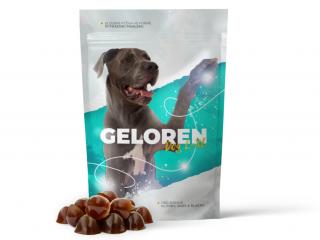 Geloren DOG L/XL 420 g (60ks)