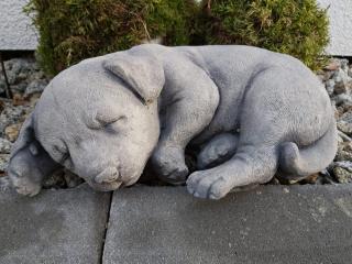 Zahradní betonová dekorace - Spinkající labrador