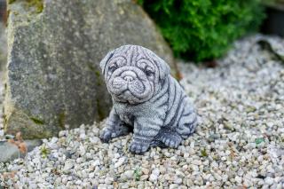 Zahradní betonová dekorace štěně Shar-Pei