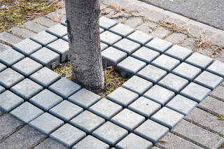 Mříže ke stromům z recyklovaného plastu WAY Rozměry: 100 x 100 cm