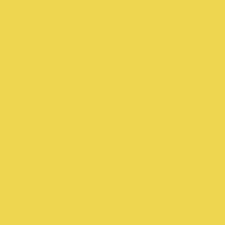 Pastelka Derwent Lightfast - Sun Yellow