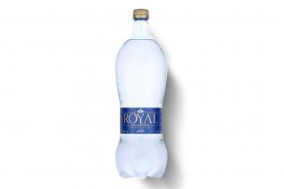 IONIZED WATER - ionizovaná mikro-clusterovaná voda s pH 9,3 - Royal Water 0,5l