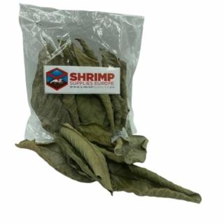 Shrimp Supplies Guava Leaves - Listy Guave 10ks