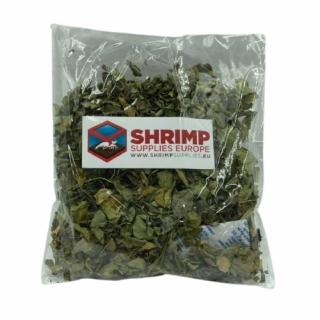 Shrimp Supplies Moringa Leaves - Listy Moringa 25g