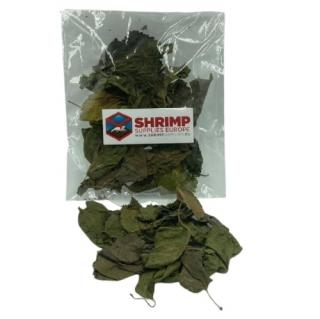 Shrimp Supplies Mulberry Leaves - Listy Moruše 10g