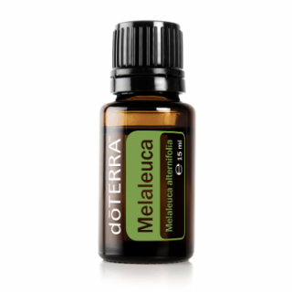 TEA TREE - MELALEUCA - infekce, akné, kvasinky objem: 15 ml