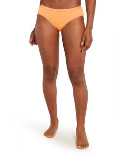 Dámské merino spodky ICEBREAKER Wmns 150 Siren Hipkini Ski Day, Feldspar/Aop velikost: XS