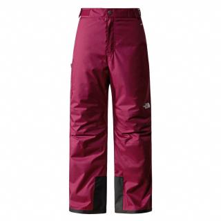 Dětské kalhoty THE NORTH FACE G Freedom Insulated Pant, Boysenberry velikost: L