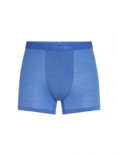 ICEBREAKER Mens 125 Cool-Lite Anatomica Boxers, Brilliant (vzorek) velikost: M