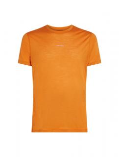 ICEBREAKER Mens 125 Cool-Lite Speed SS Tee, Ray (vzorek) velikost: M