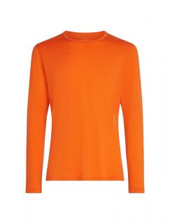 ICEBREAKER Mens 200 Oasis LS Crewe, Blaze (vzorek) velikost: M