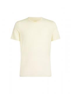 ICEBREAKER Mens Anatomica SS Crewe, Undyed (vzorek) velikost: M