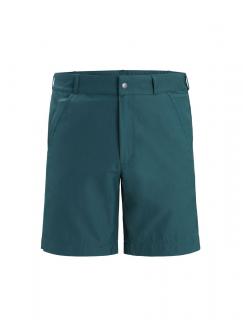 ICEBREAKER Mens Hike Shorts, Green Glory velikost: 32