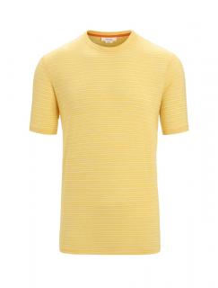 ICEBREAKER Mens Merino Linen SS Tee Stripe, Summer/Snow velikost: M