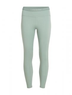 ICEBREAKER Wmns 300 MerinoFine Polar Leggings, Moss (vzorek) velikost: S