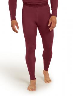 Pánské merino spodky ICEBREAKER Mens 260 Tech Leggings, Port velikost: L