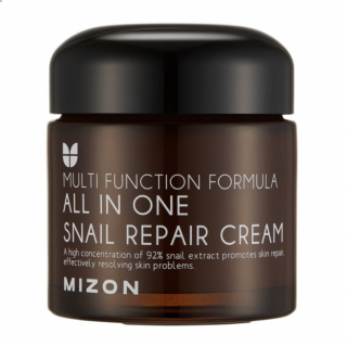 MIZON - ALL IN ONE SNAIL REPAIR CREAM - Regenerační pleťový krém se šnečím mucinem 75 ml