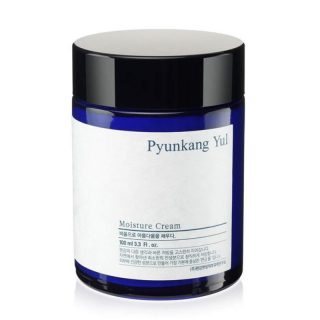 PYUNKANG YUL - MOISTURE CREAM - Hydratační pleťový krém 100 ml