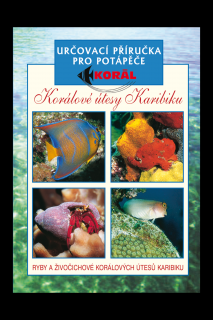 Korálové útesy Karibiku – Určovací příručka pro potápěče