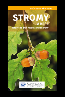 Stromy a keře