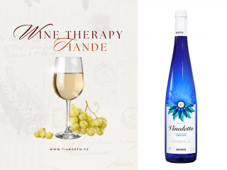 DÁREK Víno VINOLETTO bílé suché TianDe Wine Therapy  Body: 0,0