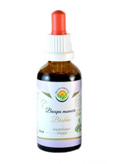 Bacopa monnieri - brahmi AF tinktura 50ml Salvia Paradise