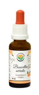 Boswellia serrata - kadidlovník AF tinktura 30 ml Salvia Paradise