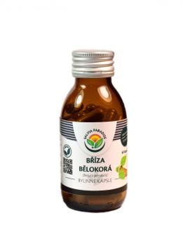 Bříza bělokorá kapsle 60ks Salvia Paradise