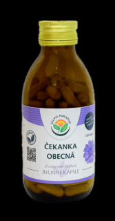 Čekanka - kapsle 120 ks Salvia Paradise